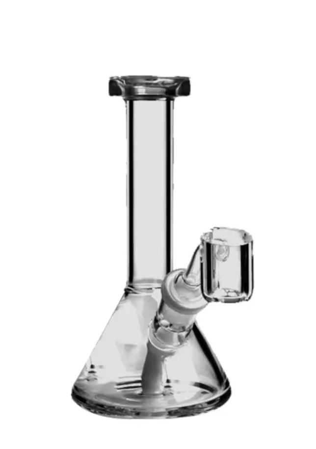Mini Beaker Dab Rig